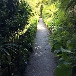 Costanza ブレーヴィオ